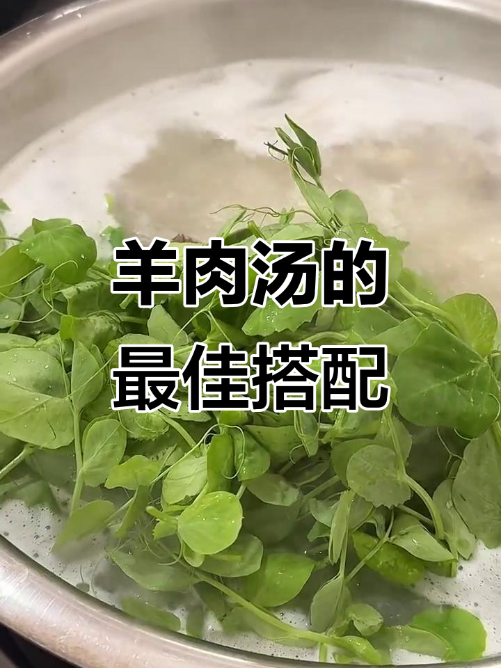 冬季暖心羊肉汤,配豌豆尖和豆腐乳最美味