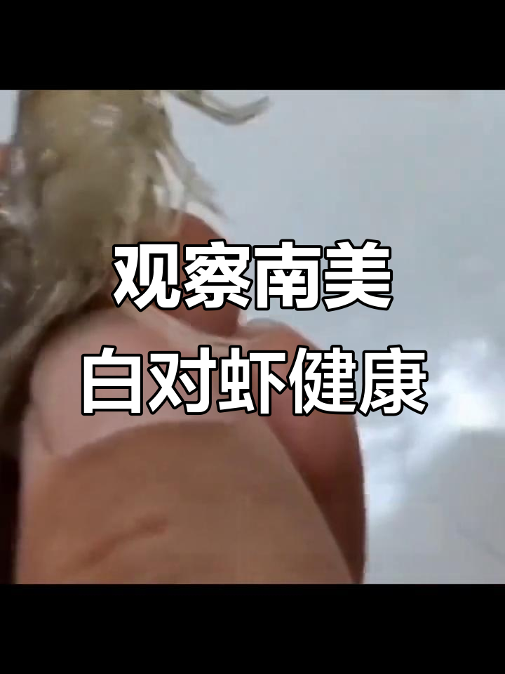 南美白对虾养殖技巧：如何判断虾的健康状况