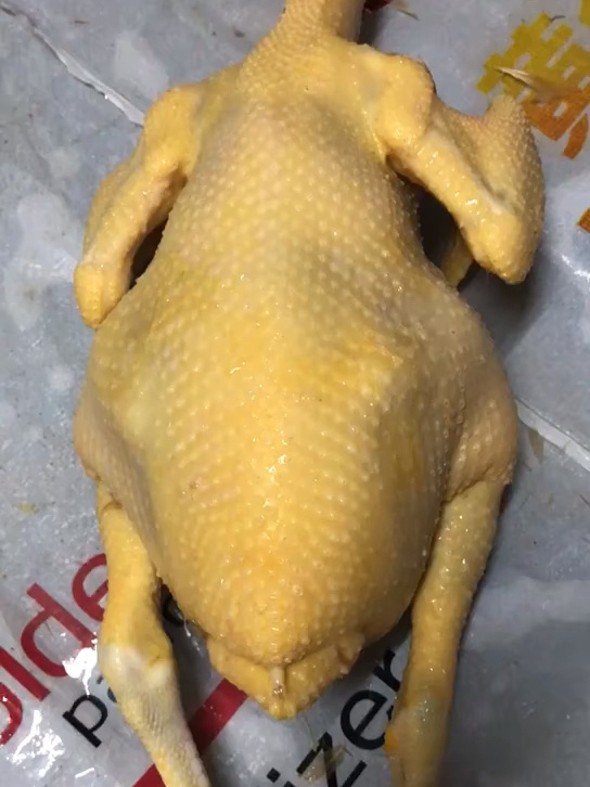 最适合做白切鸡的鸡种～阉鸡