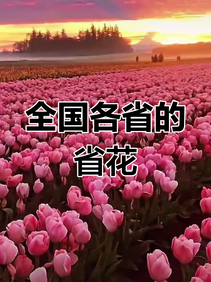 咸鹅做法全攻略