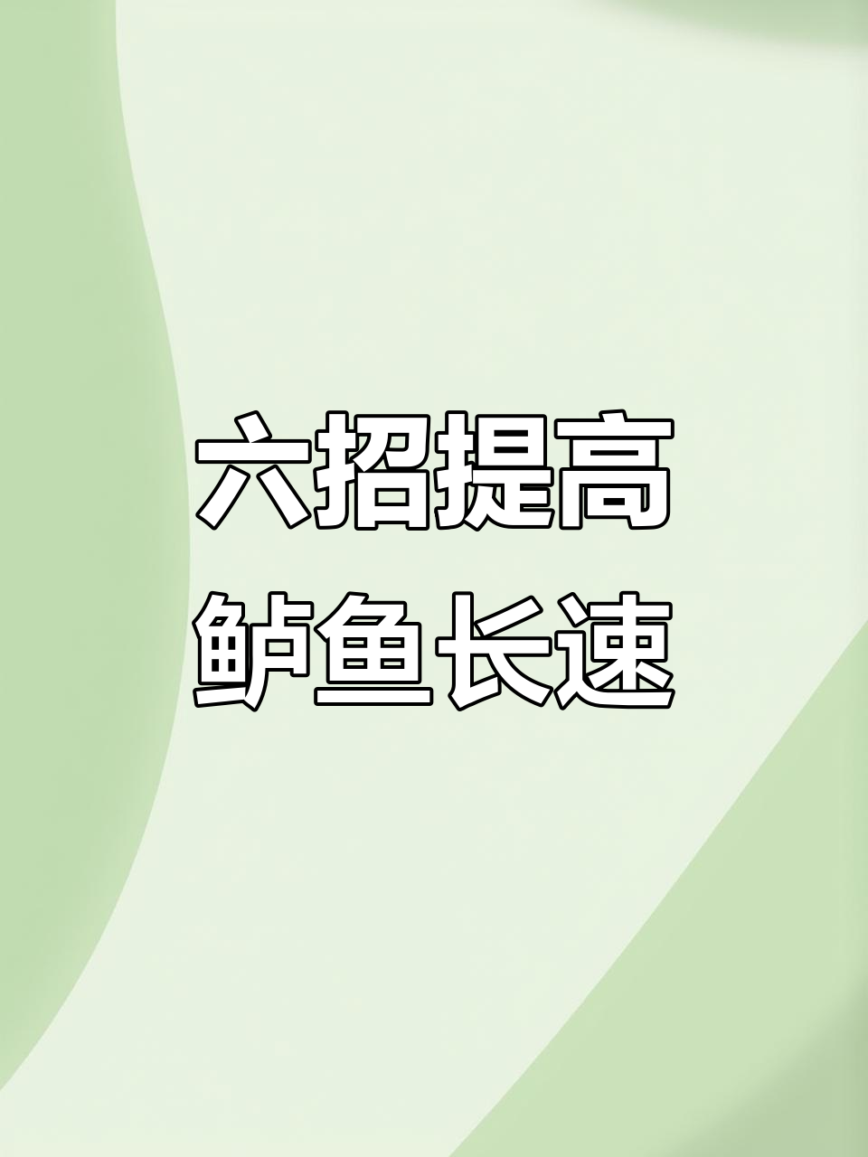 鲈鱼养殖六大技巧,助你提升生长速度