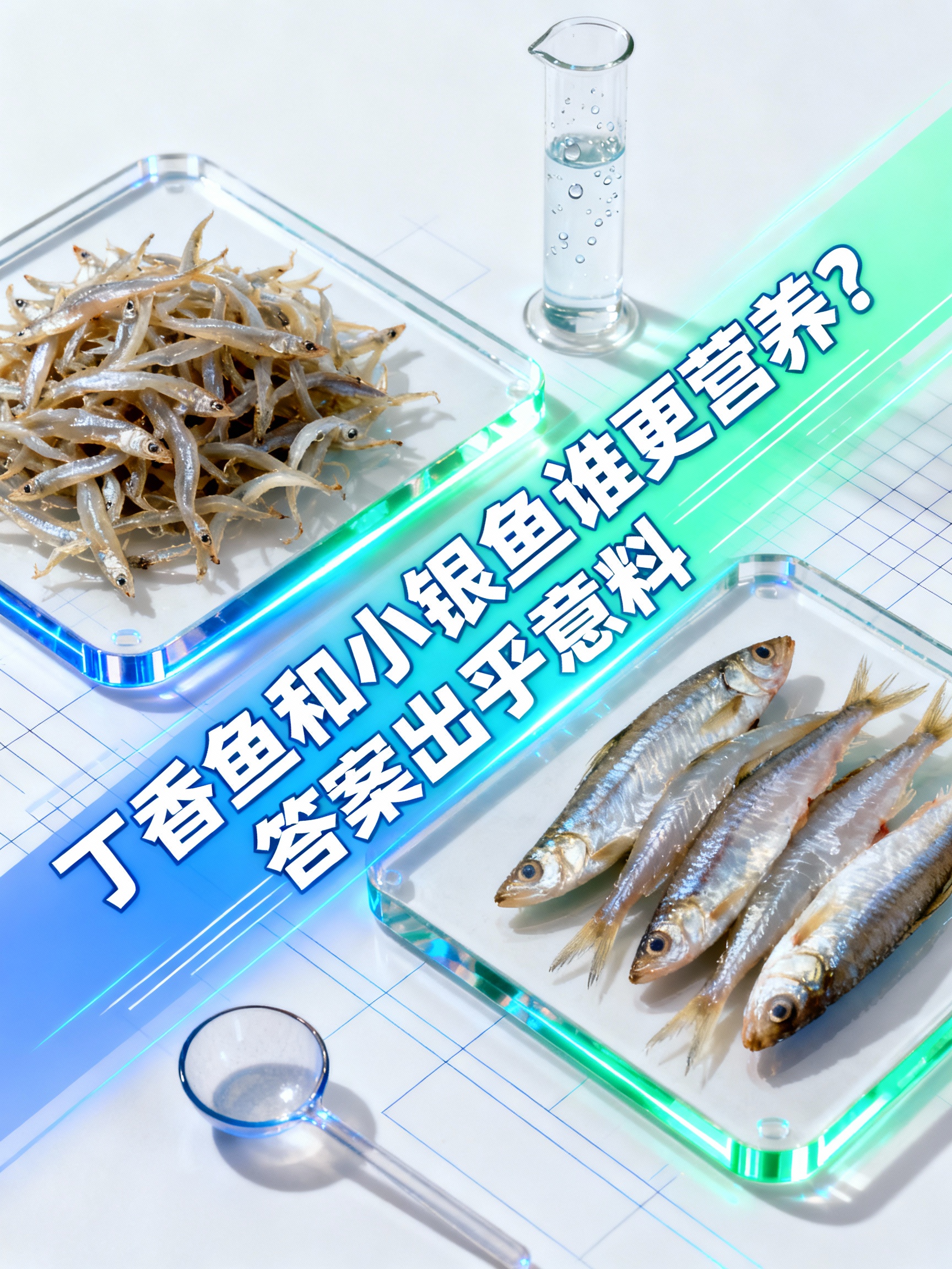 丁香鱼和小银鱼谁更营养？答案出乎意料