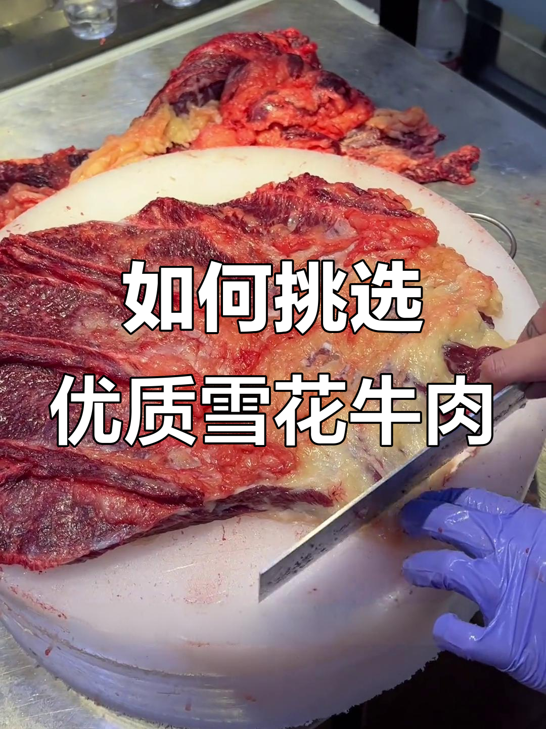 雪花牛肉为何难寻?揭秘牛种与肥度要求