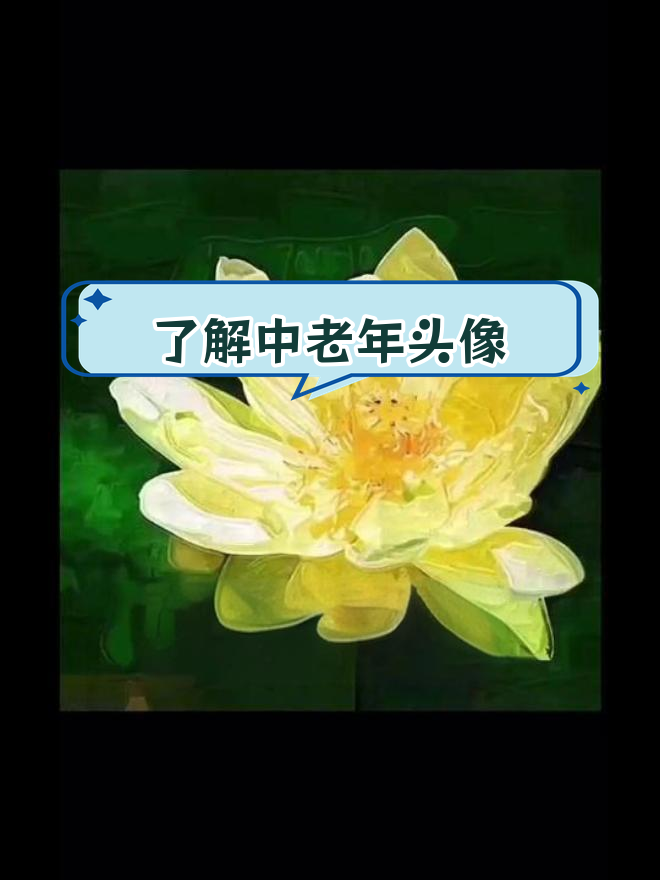 中老年人头像解析