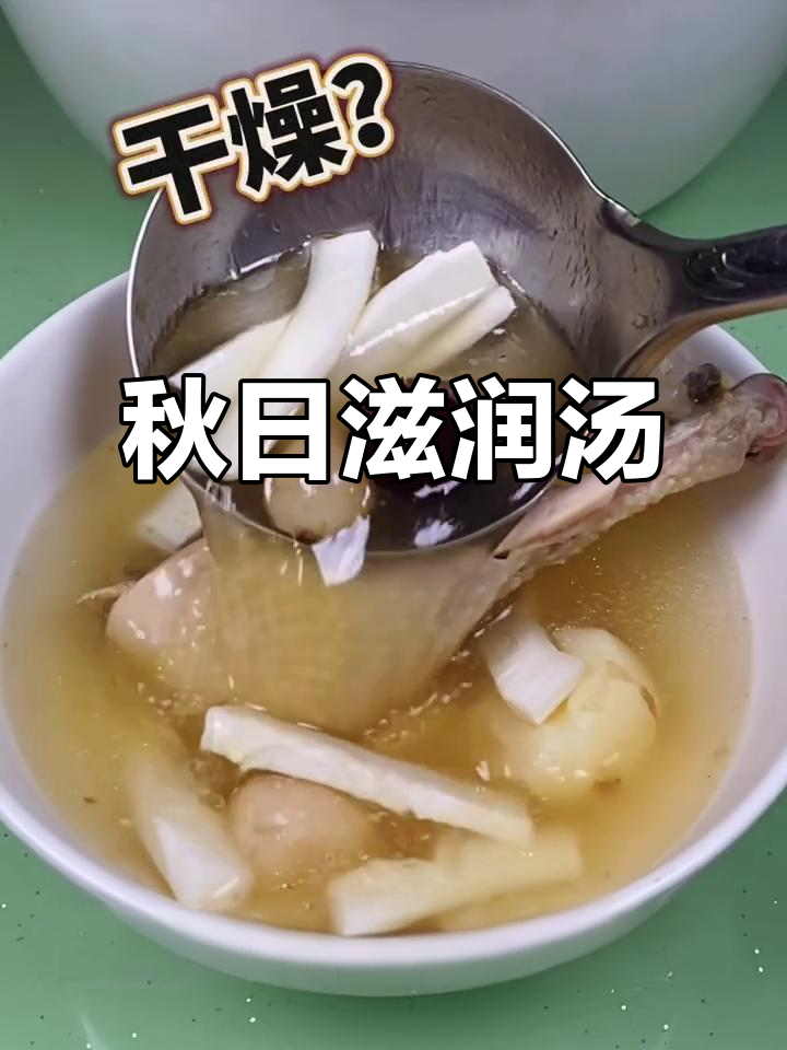 秋季润燥汤,五指毛桃与椰子完美搭配,香气扑鼻!