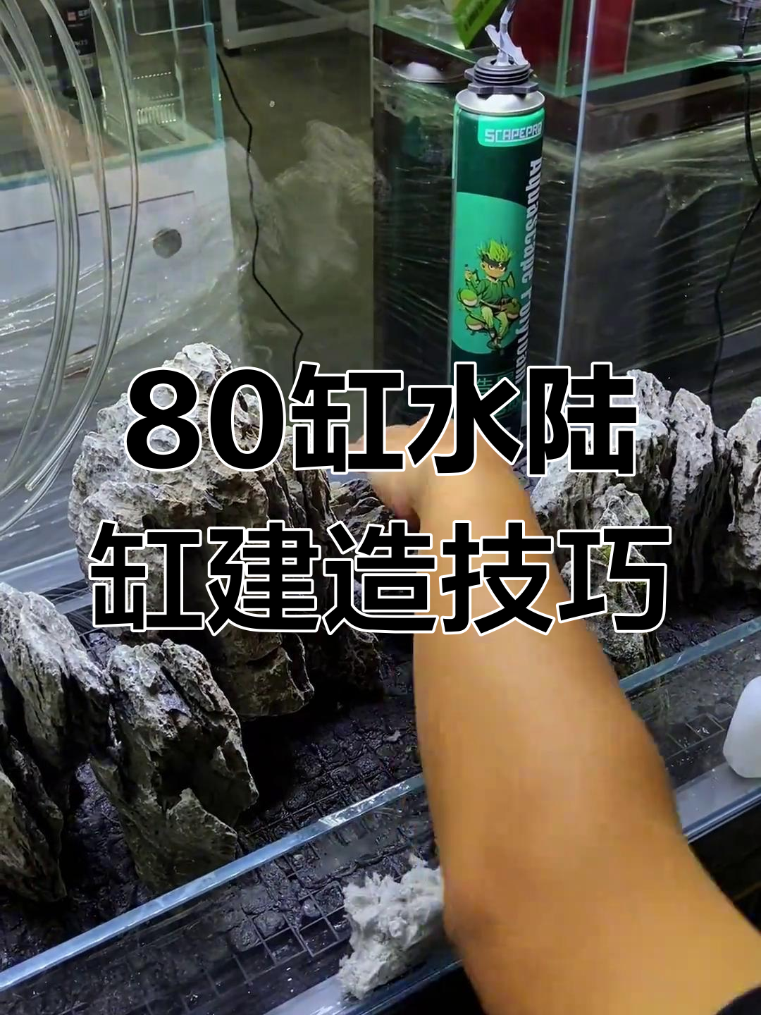 水陆缸造景全攻略:从青龙石到干水台,一步步教你打造完美景观