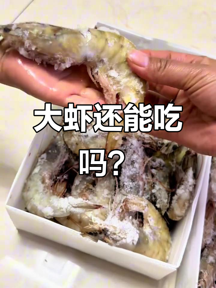 厄瓜多尔大虾真有辐射？实测个头比娃手还大！