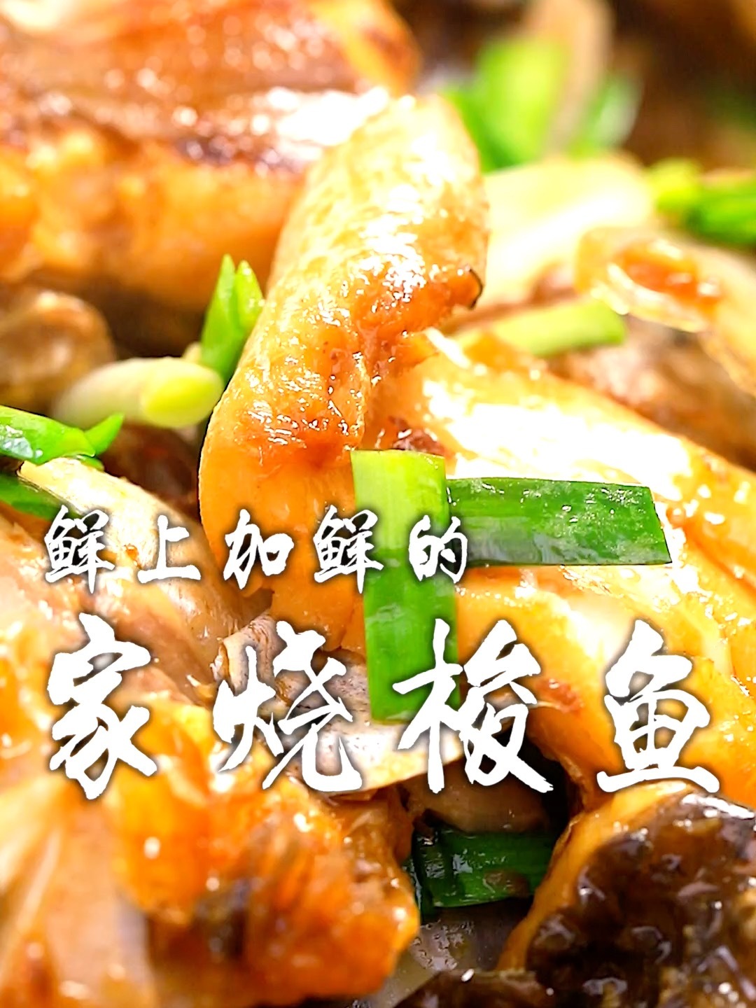 家烧梭鱼