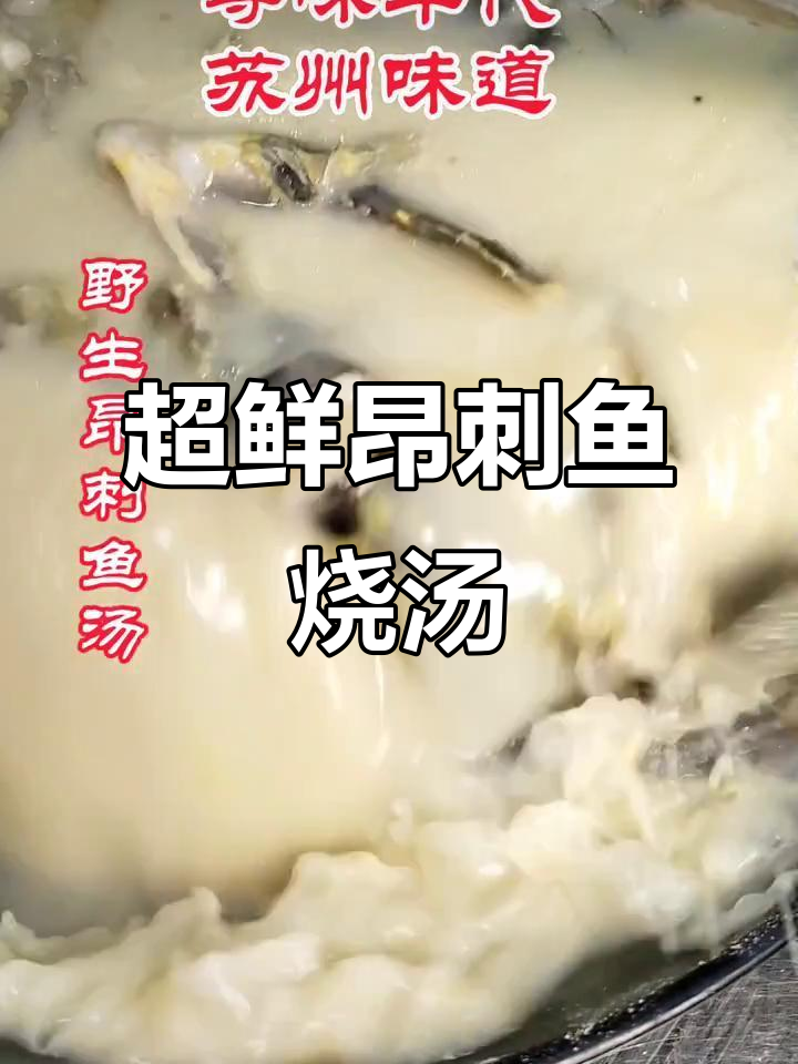 苏州野生昂刺鱼汤,鲜美无比!