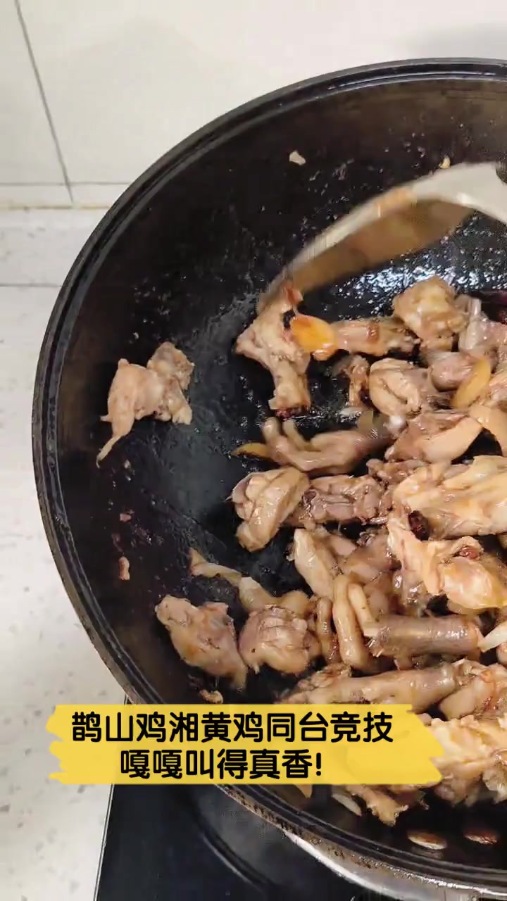 鹊山鸡湘黄鸡同台竞技,嘎嘎叫得真香!