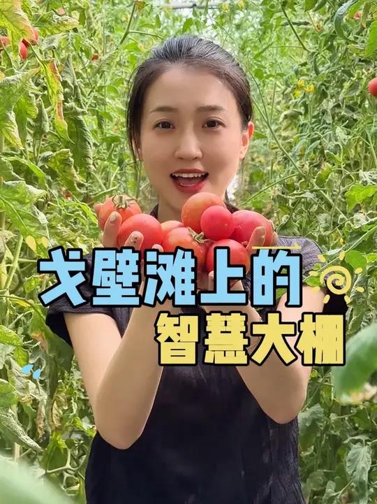 科技赋能戈壁农业！在肃北的戈壁滩上，先进的科技技术构建起蔬菜大棚的“智慧大脑”，通过“高科