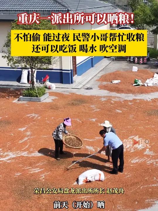 8月1日,重庆荣昌,重庆一派出所可以晒粮了,不怕偷,能过夜,还有民警小哥帮忙收粮!还能吃饭