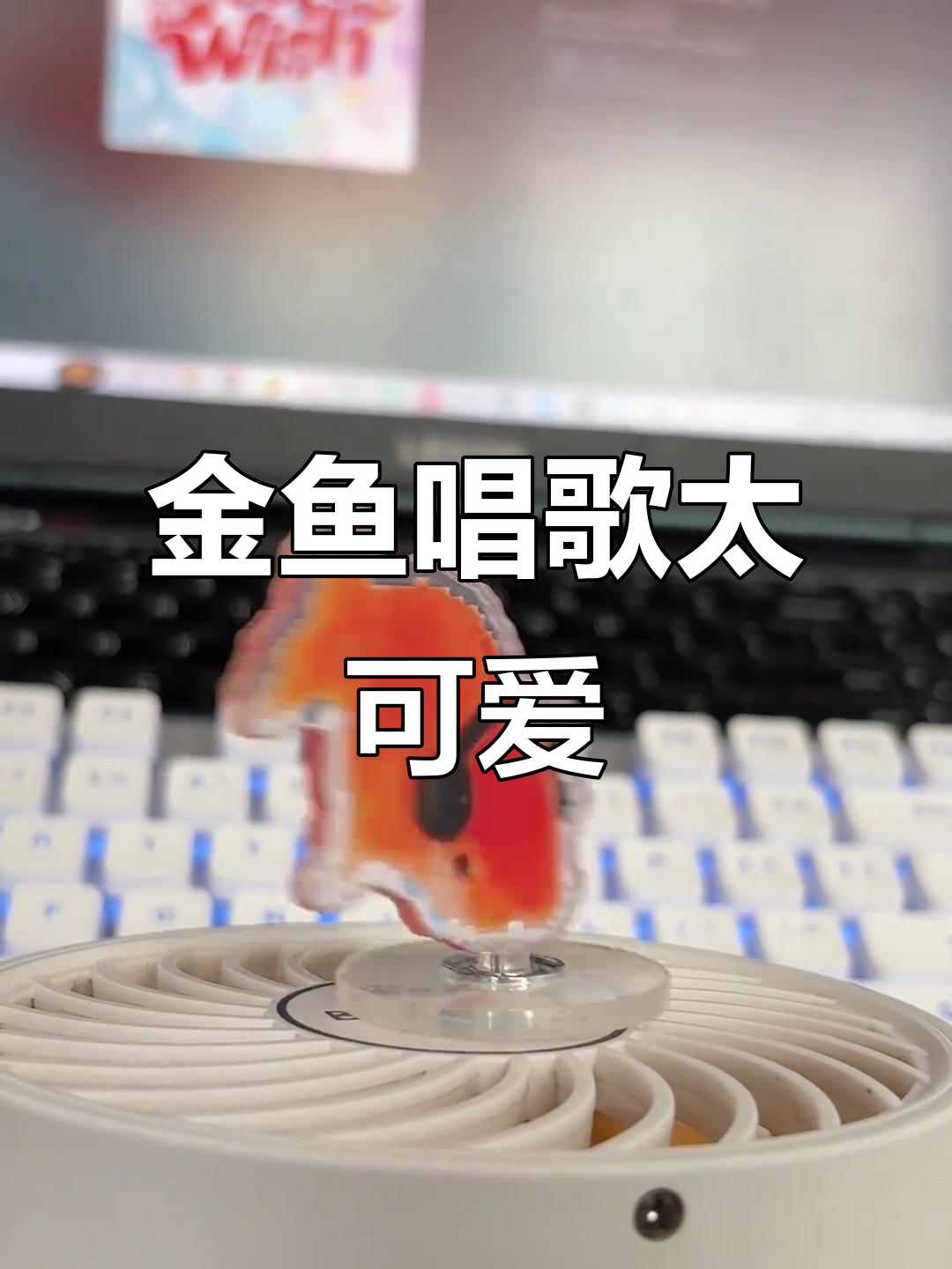金鱼唱歌萌态十足,羽生萌萌香带来欢乐时光