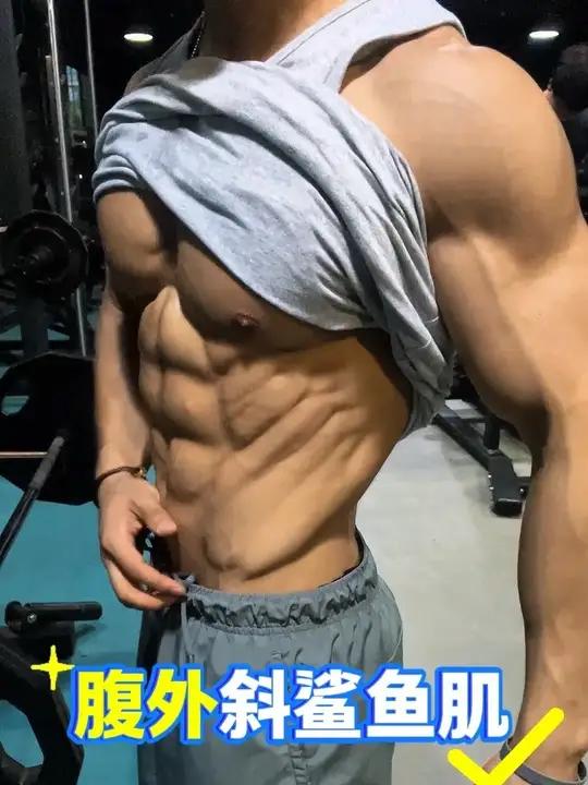 想要鲨鱼肌的小伙伴 可以把这些动作加入到腹肌训练中去！