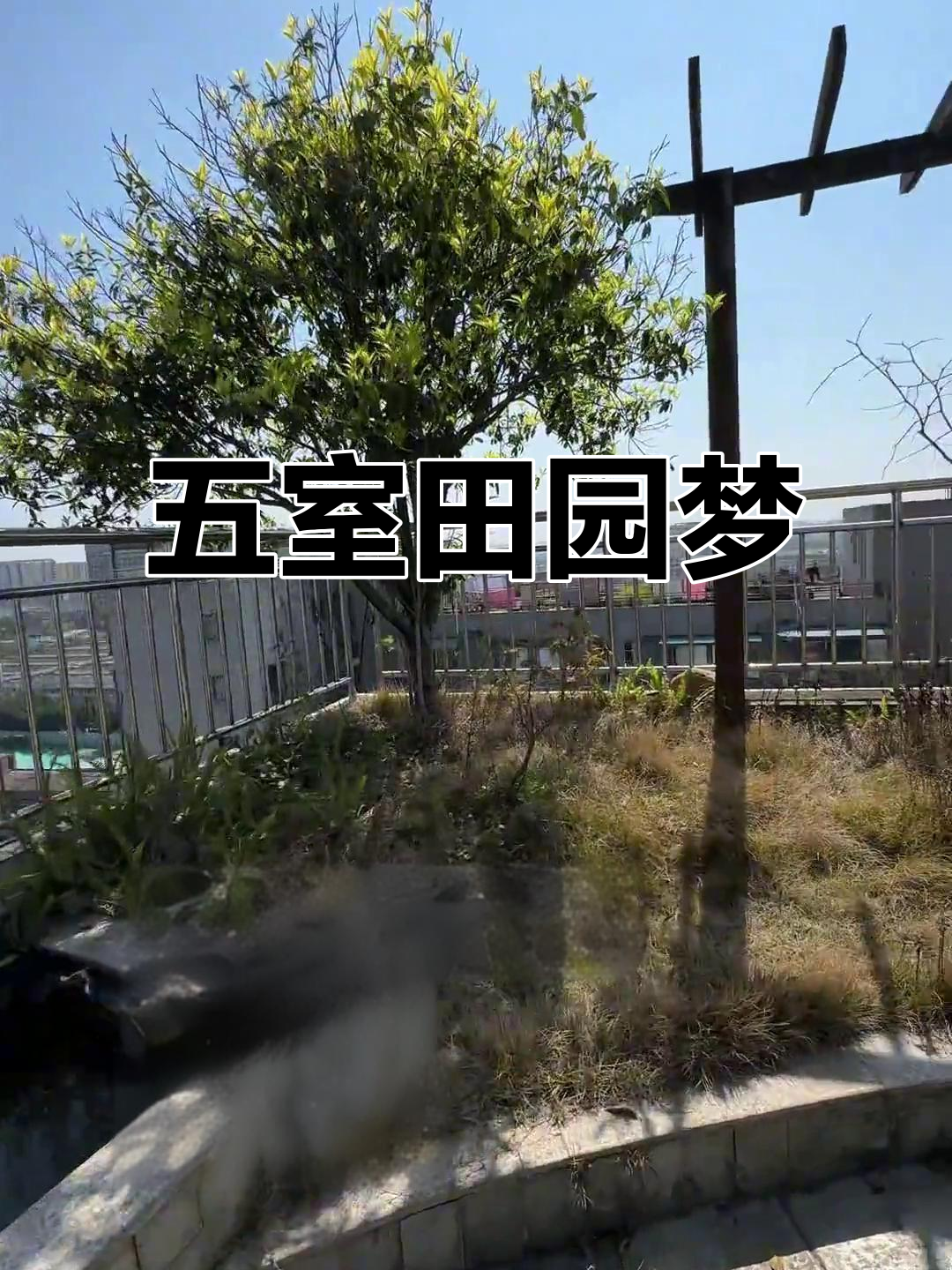 菜地、鱼池俱全,五室阳光房带地暖,完美田园生活