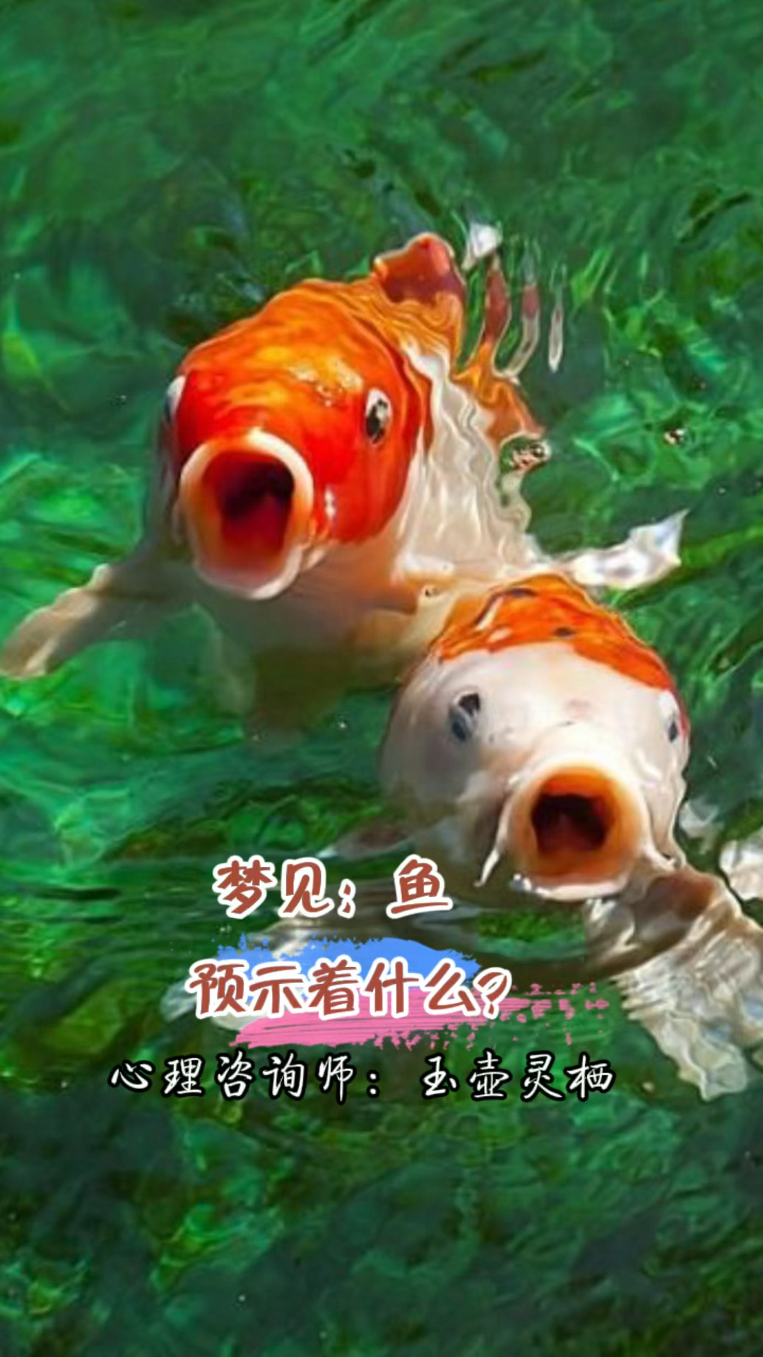 梦见“鱼”预示着什么?