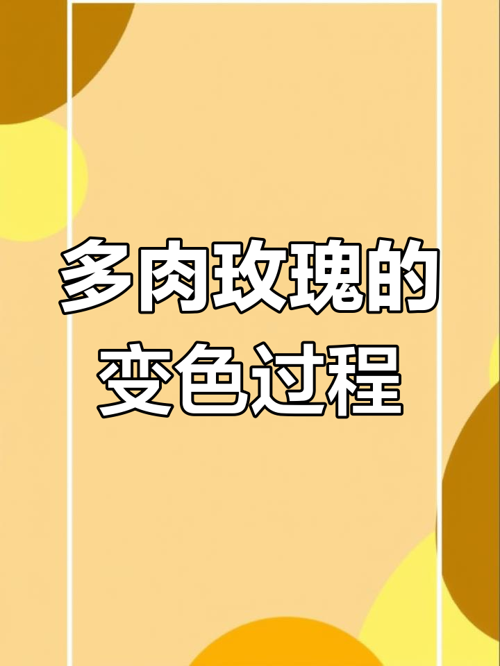 山地玫瑰:从绿色到粉红,休眠期变身多肉玫瑰