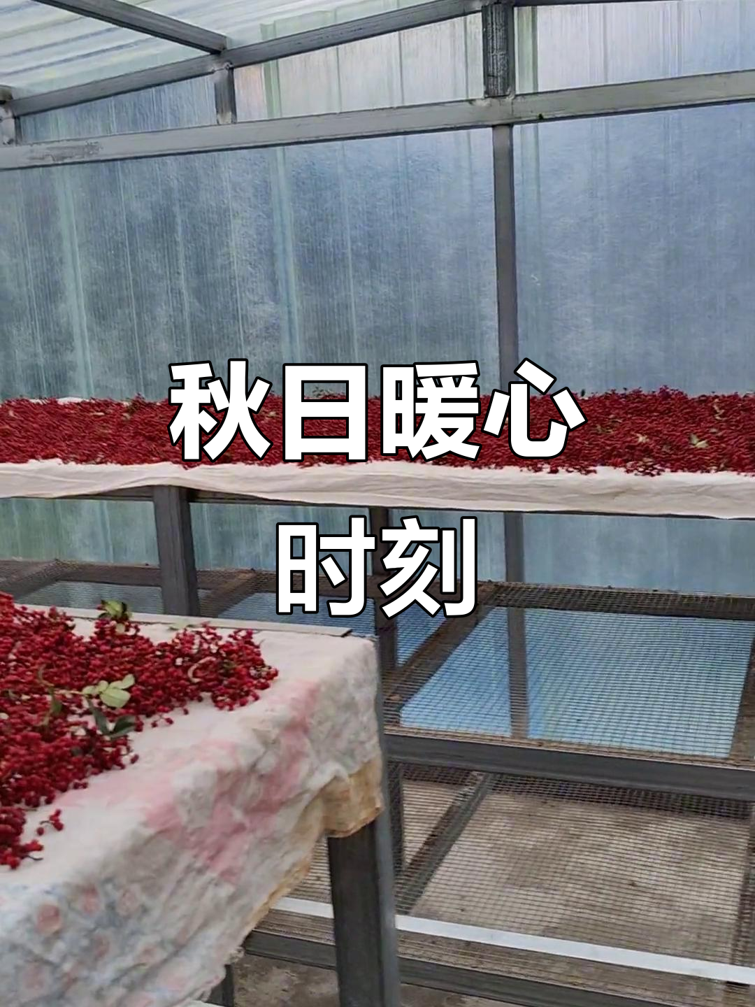 秋天来了,和小情人一起享受一杯温暖的奶茶时光