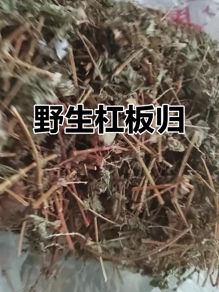 杠板归,野生草药,蛇退避三舍,有需求可联系