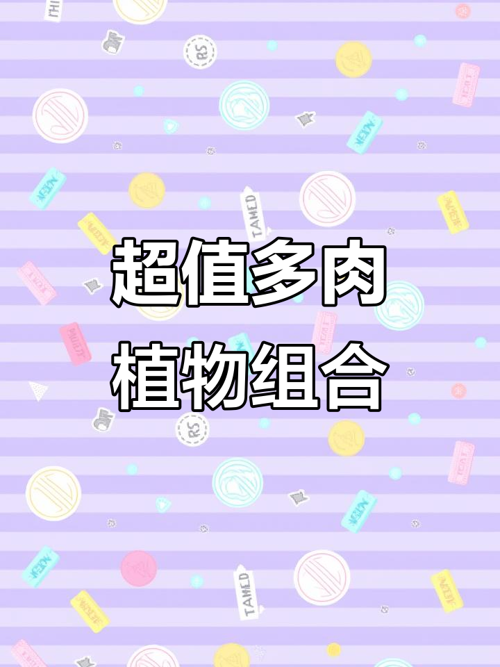七毛到一米的多肉植物,超萌小桃蛋和阿尔卑斯白月影等你来挑