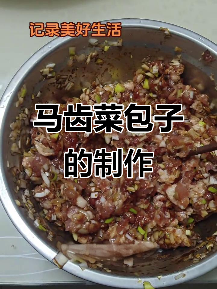 妈妈亲手做马齿菜包子,香气扑鼻的野味美味