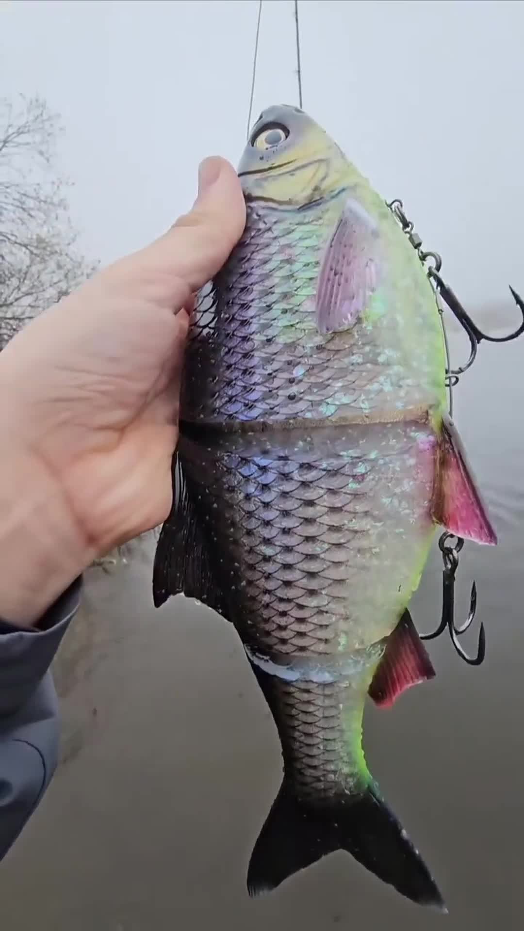 想钓大鱼就用大鱼饵 钓鱼