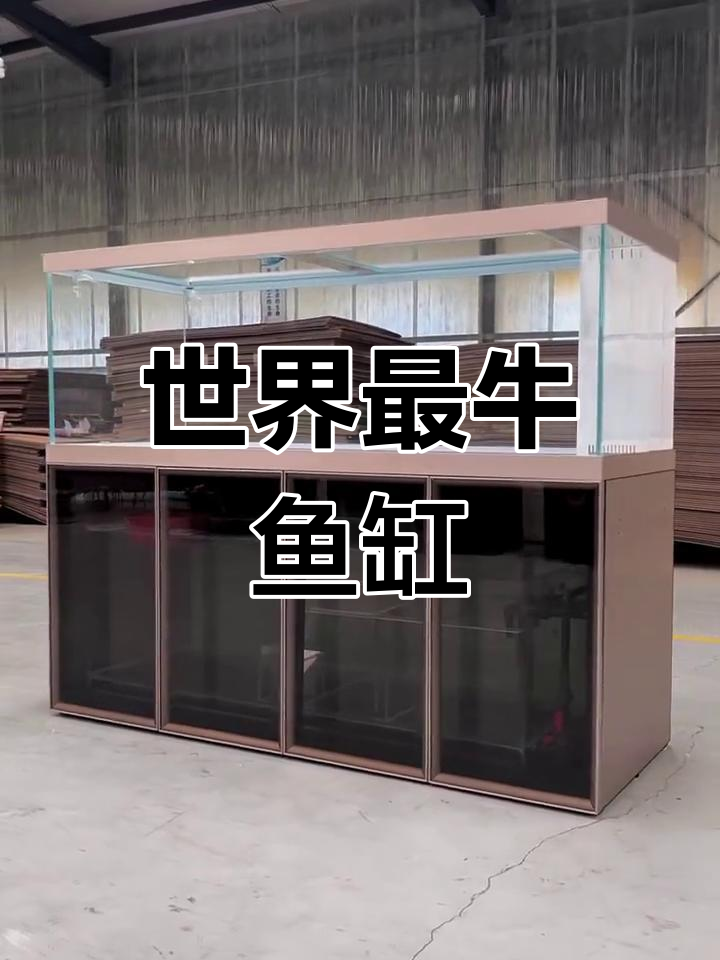 全球首发!玫瑰金色超豪华鱼缸,德国技术打造完美水族体验