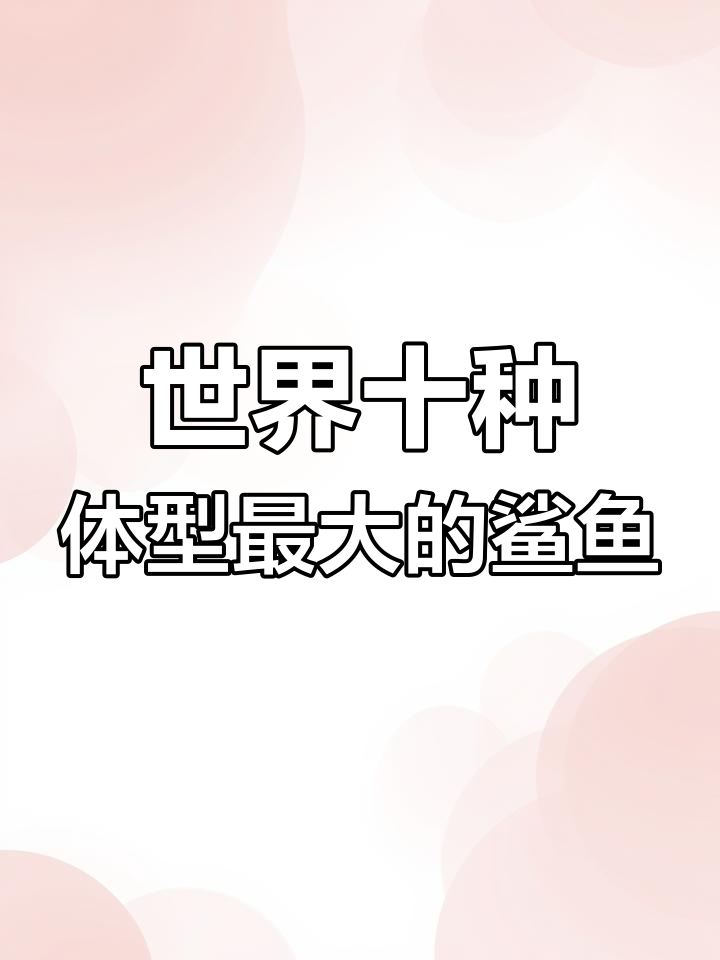 揭秘十大最大鲨鱼,看看这些海洋巨兽有多可怕