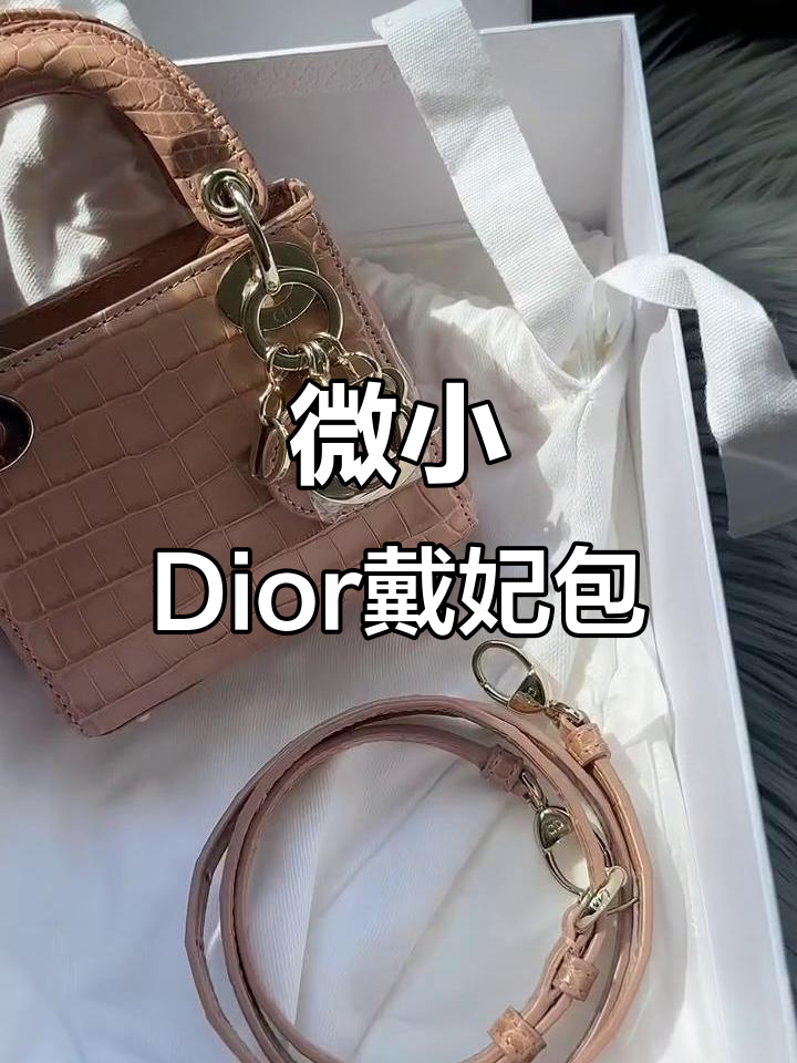Dior戴妃超迷你micro鳄鱼皮奶茶色，奢华感满满