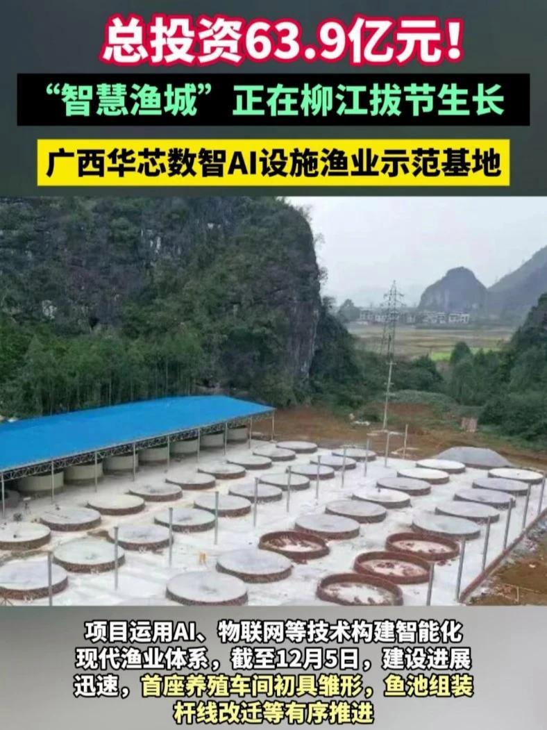 总投资63.9亿元！广西华芯数智AI设施渔业示范基地，这座“智慧渔城”正在柳江拔节生长 循