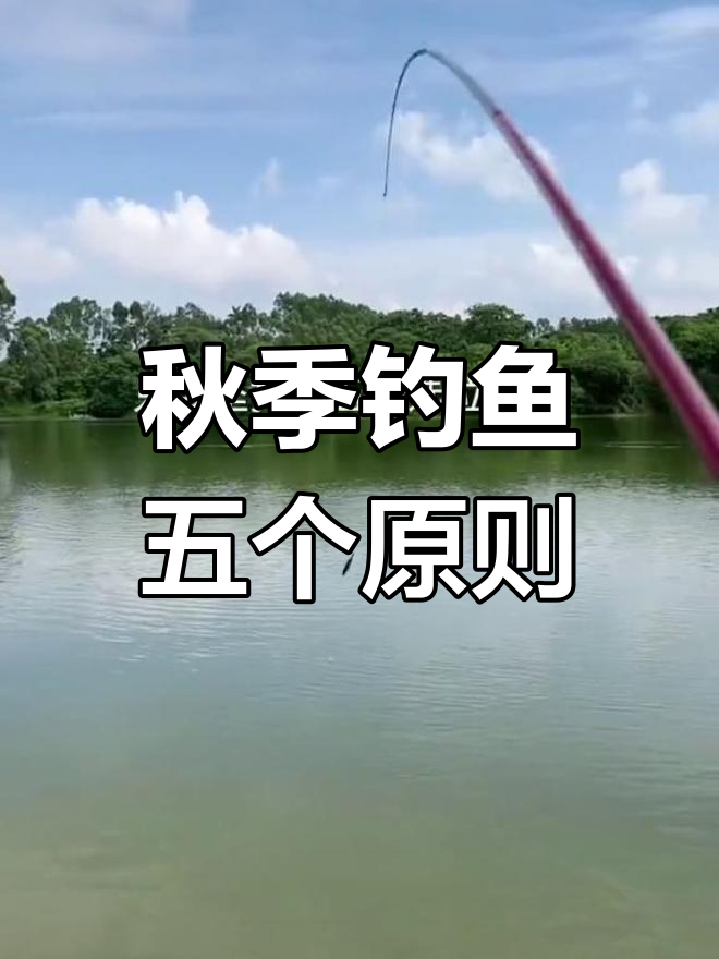深秋野钓鲫鱼五大选位技巧,轻松爆护不再难