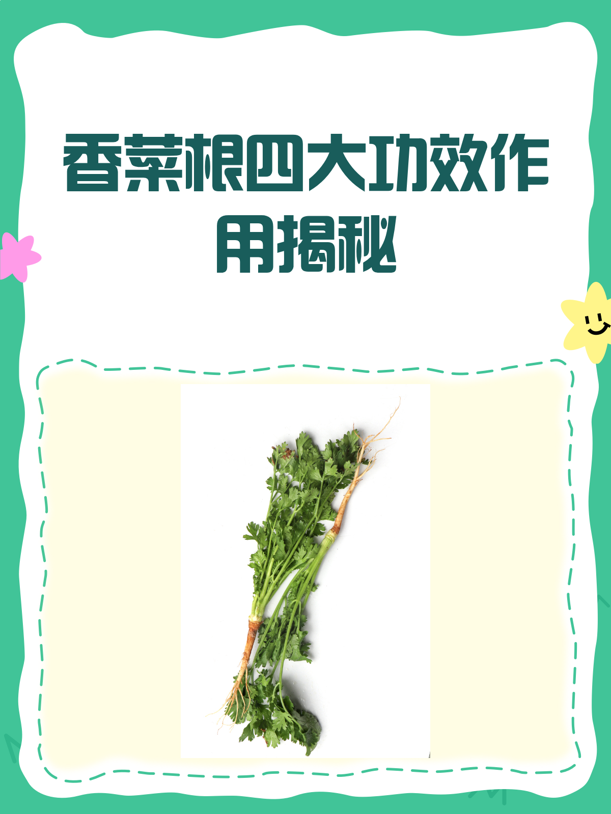 香菜根居然这么有用?别再随手扔啦!