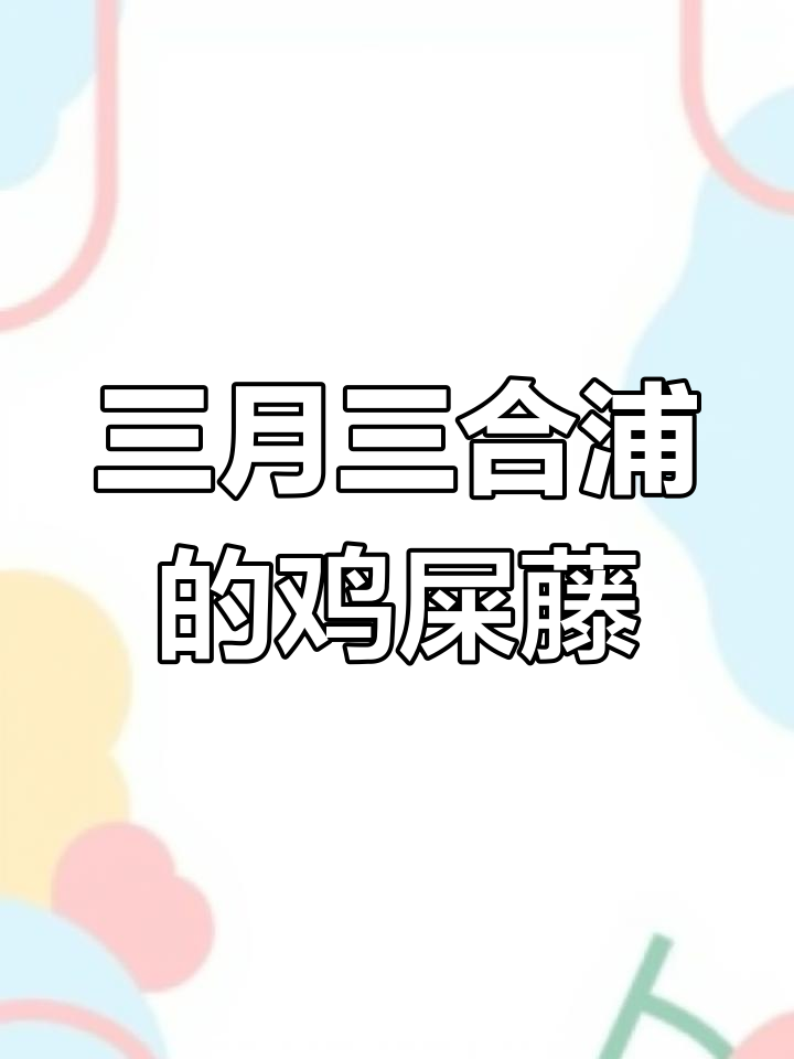 合浦三月三,满街鸡屎藤籺香气扑鼻