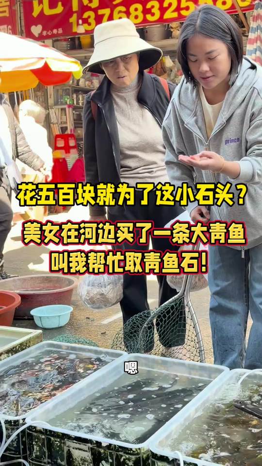 花五百块就为了这小石头？美女在河边买的大青鱼，叫我帮忙取青鱼石杀鱼技术菜市场厨房菜刀