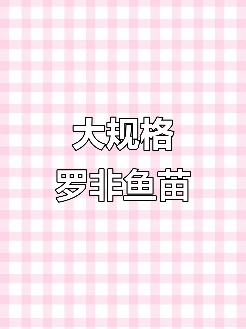 东莞鱼苗批发,海南一号大规格罗非鱼种