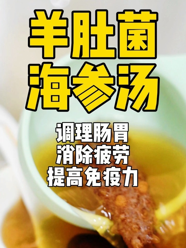 经常胃痛试试羊肚菌海参汤