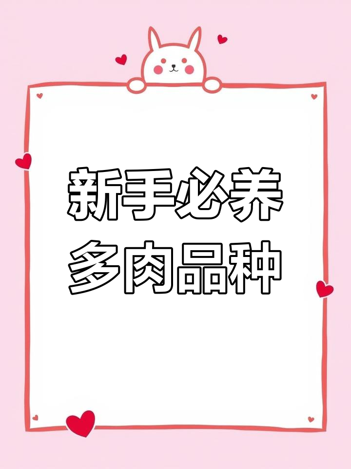 辛普森月影:耐高温低寒,适合新手养护的多肉植物