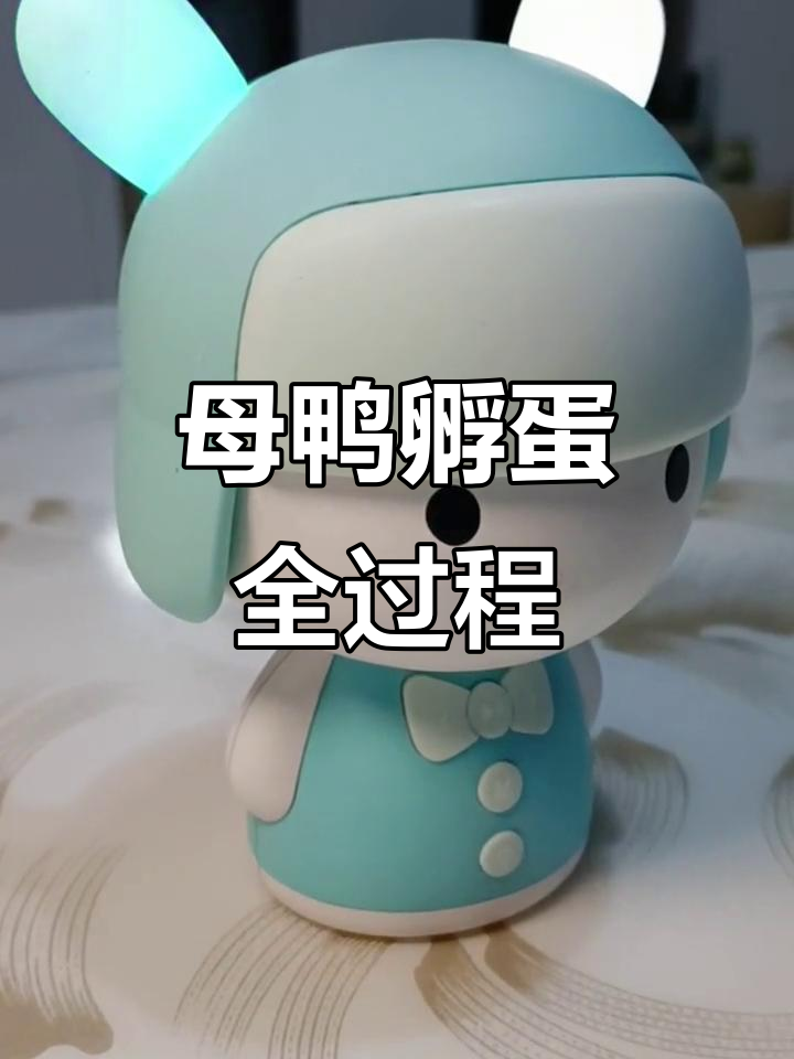 鸭妈妈辛苦孵化小鸭,全程守护不离不弃