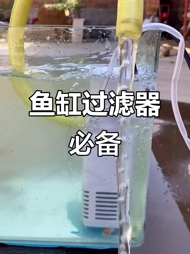 鱼缸增氧机,让鱼儿更健康!