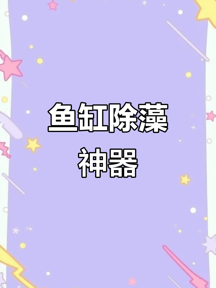 成都解封后鱼缸清理,刮藻刀让水族箱焕然一新