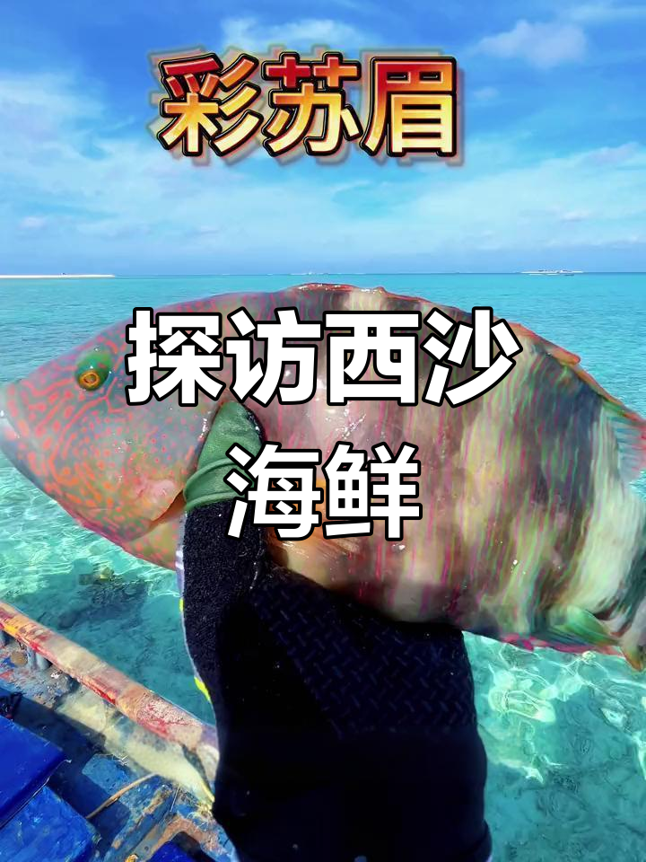 西沙群岛的珊瑚鱼大揭秘,颜值与美味并存!