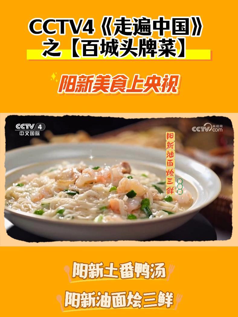 阳新美食上央视啦!阳新土番鸭汤 阳新油面烩三鲜 大冶苕粉肉,是家乡的味道!湖北阳新 上央视