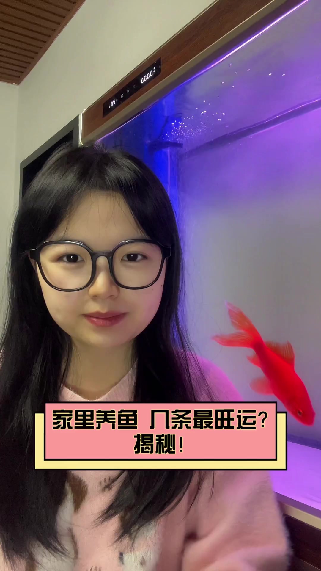 家里养鱼,几条最旺运?揭秘!