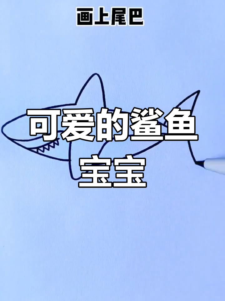 画个鲨鱼宝宝,简单又可爱!