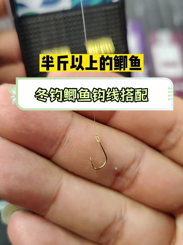 冬季钓鲫鱼线组搭配技巧