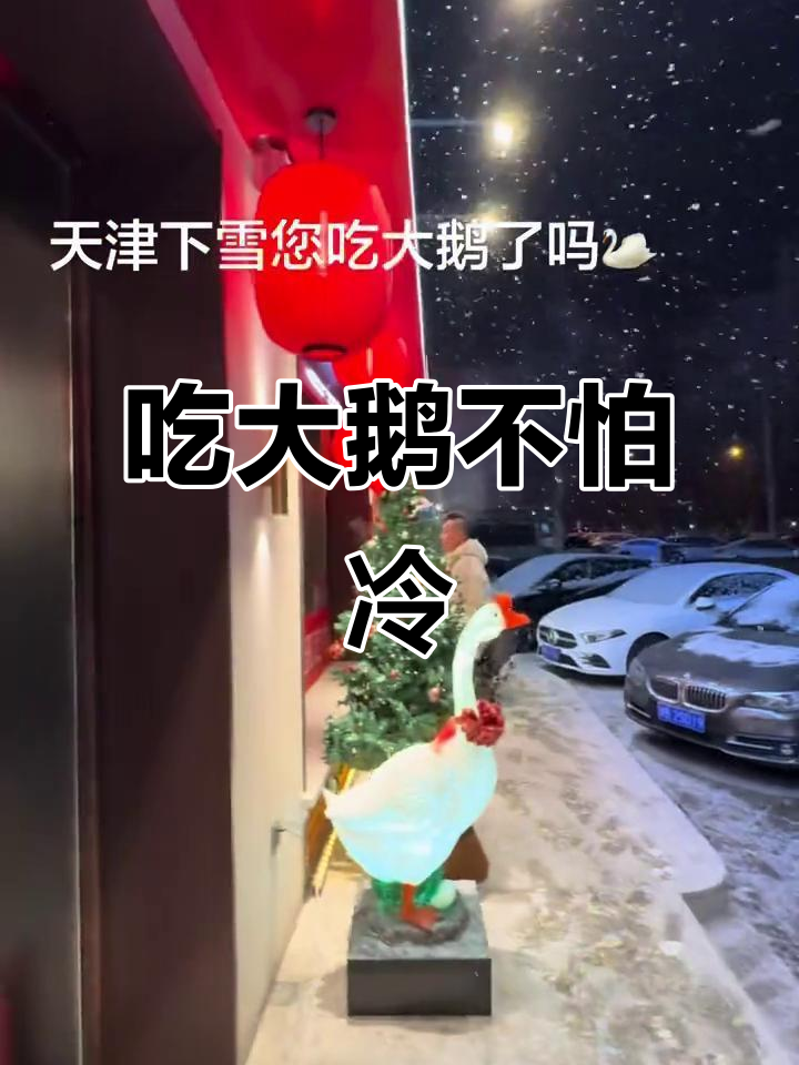 雪天必吃大鹅,铁锅炖美味满满