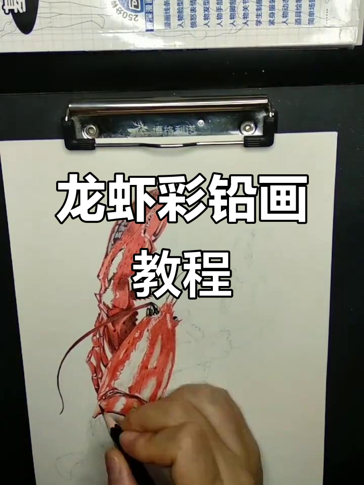 彩铅画:龙虾上色技巧,反复叠色打造高光效果