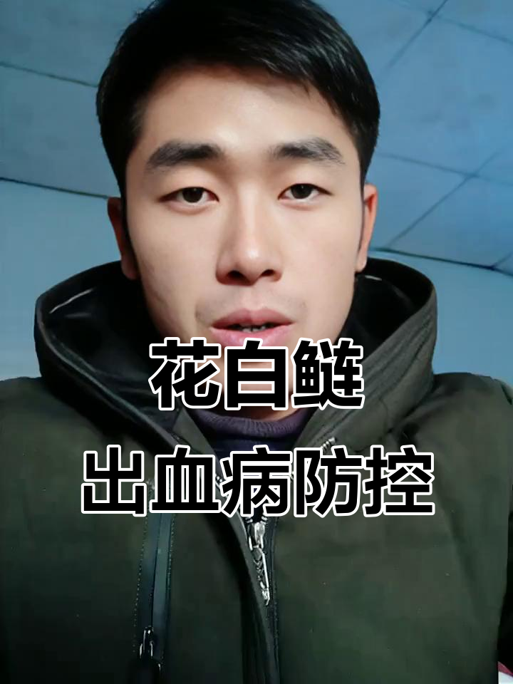 花白鲢养殖出血病防治全攻略,必看技巧