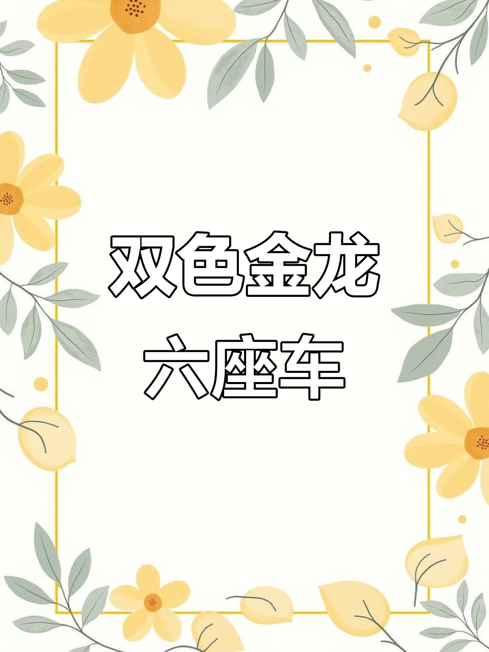 金龙双色六座,北京限行也能轻松出行