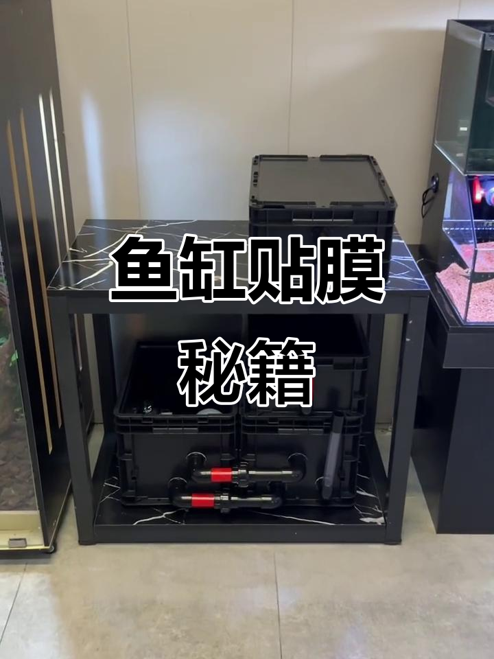 鱼缸贴膜全攻略,组装无管底滤超有趣!
